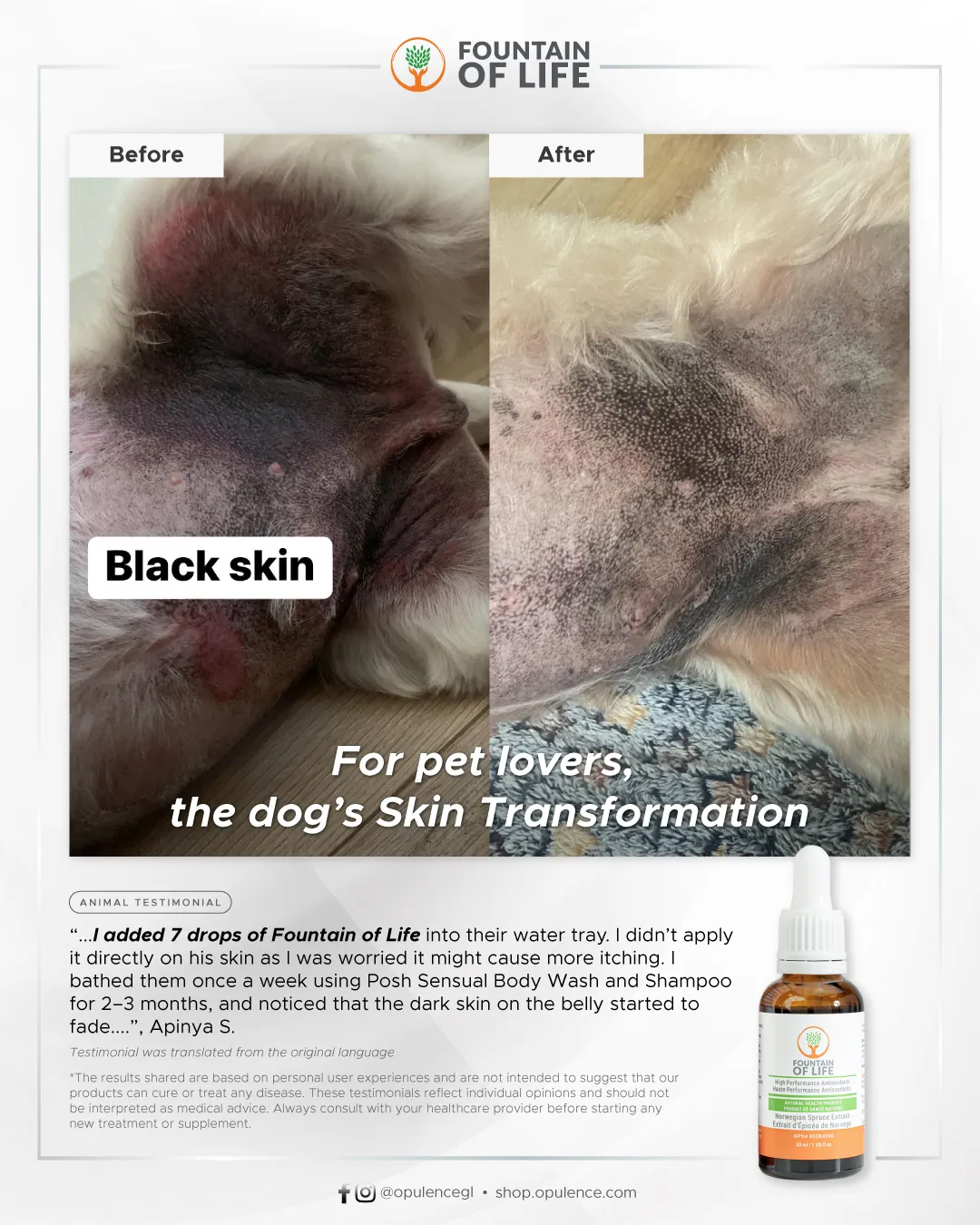 20250602-FOL-Before-After-DogHotSpot-12