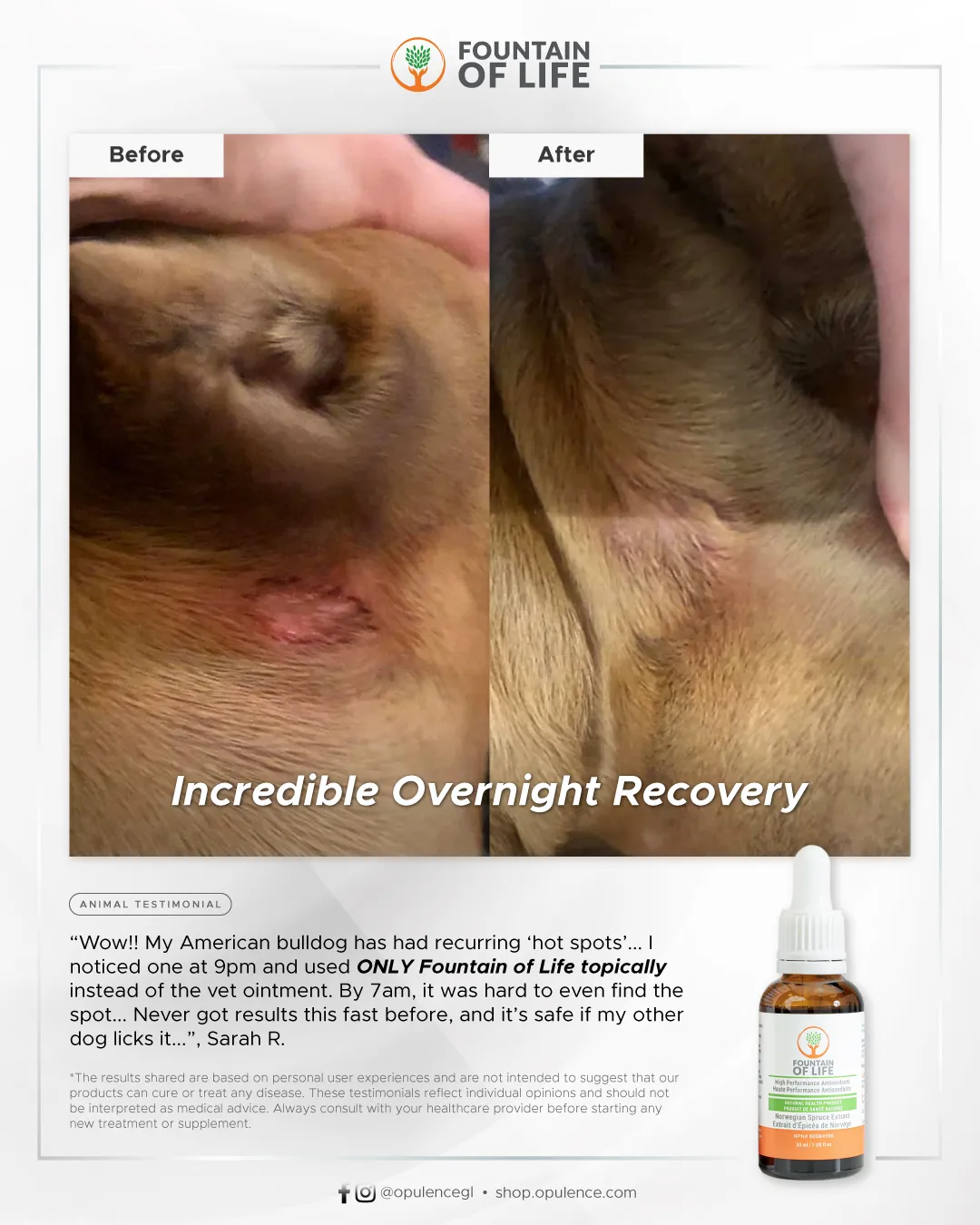 20250602-FOL-Before-After-DogHotSpot-13
